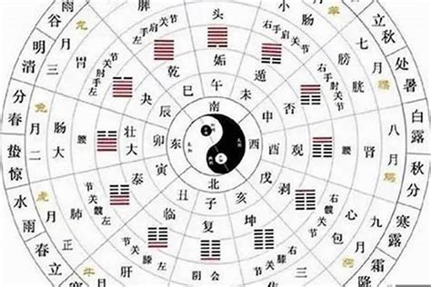 陰陽五行查詢|【八字陰陽怎麼看】免費八字陰陽查詢，一看你的生辰八字是純陰。